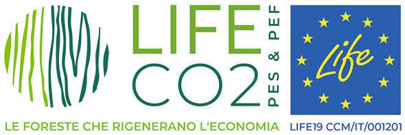 Life Co2pes&pef logo