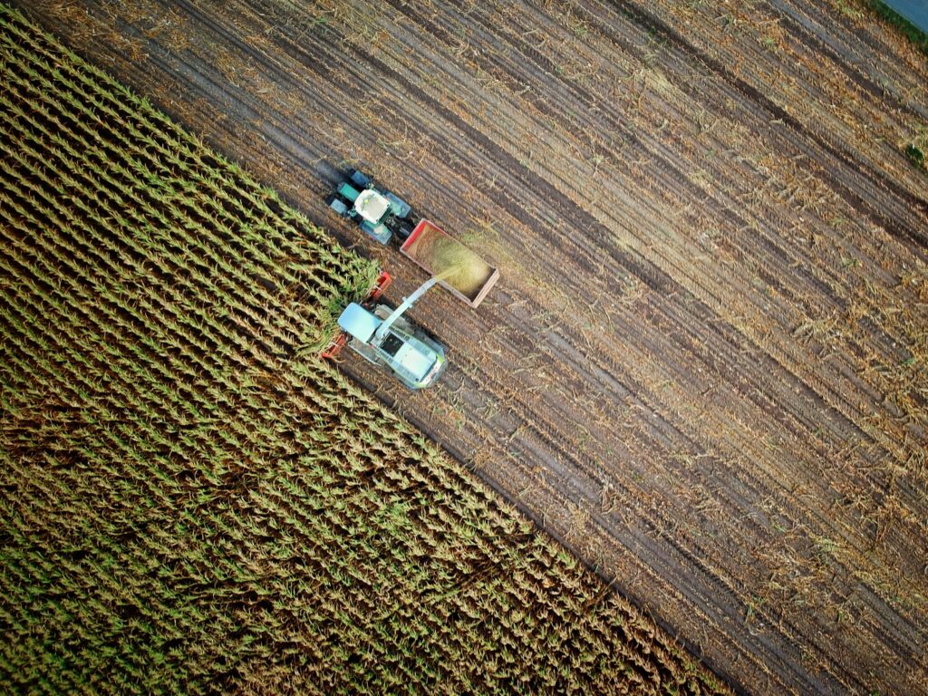 Articles related on carbon farming